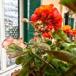 Grazia Bed & Breakfast
