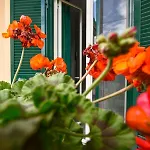 Grazia Bed & Breakfast Capua