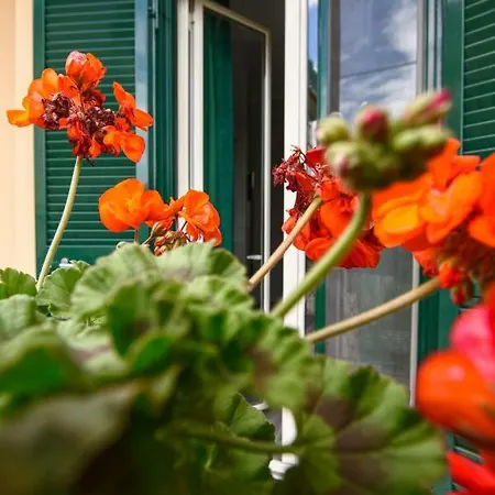 Grazia Bed & Breakfast Capua
