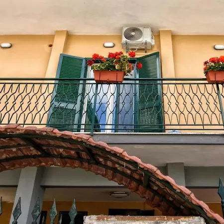 Grazia Capua